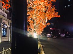 -大渔铁板烧(万象城店)