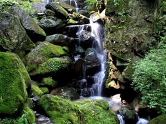 -藏龙百瀑风景区