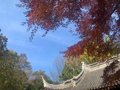 -穹窿山景区