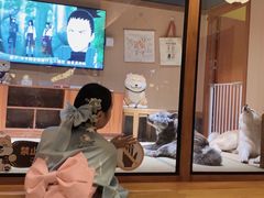 -大江户·温泉洗浴(浑南店)