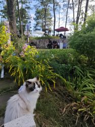 -Sugar苏格婚礼策划工作室