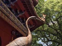 景点-南岳衡山风景名胜区-南岳大庙