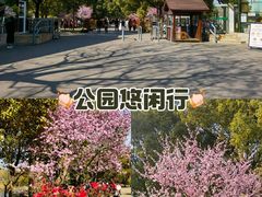 -上海滨江森林公园