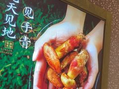 -季季山·云南野生菌火锅(上海首店)