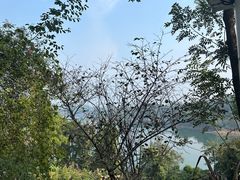 -华凌山庄·隐湖栖