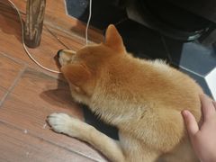 -About Bistro關於·泰式家庭料理