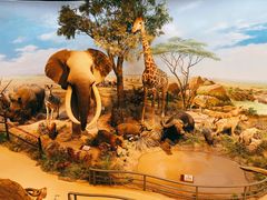 -陕西自然博物馆