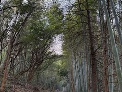 -敬亭山风景名胜区