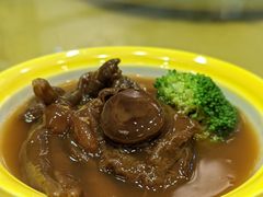 鹅掌鲍鱼-郑厨私房菜