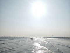 -南汇新城海滩
