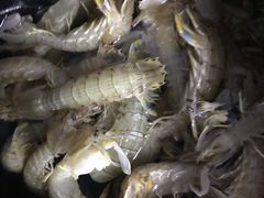 -南戴河海滨市场