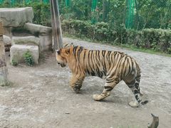 -上海野生动物园