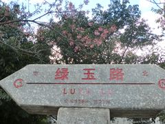 -南门绿玉农贸市场