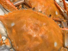 -北塘海鲜·天津菜(大光明桥旗舰店)