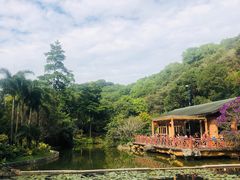 -云溪植物园