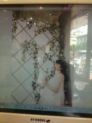 点击看大图 -苏菲亚婚纱影楼尊爵店(昆区店)