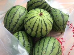 采摘的西瓜-庞各庄翠芳园西瓜蔬菜基地采摘园