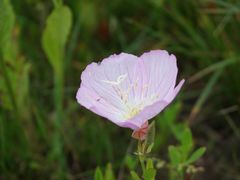 -湘鄂西苏区革命烈士陵园