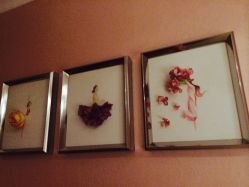 -悦己堂美容养生SPA