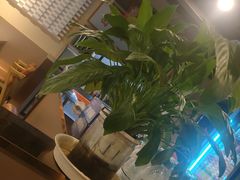 -炉队长·齐齐哈尔家庭烤肉(马家堡店)