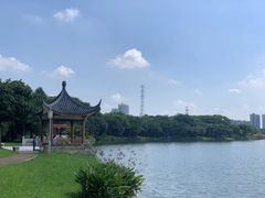 -顺峰山公园