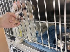-谐和贝康宠物医院24小时·宠保定点(急重症转诊中心)