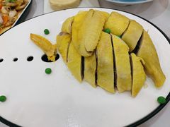 特色白切草母鸡-新名仕新白玉兰餐厅