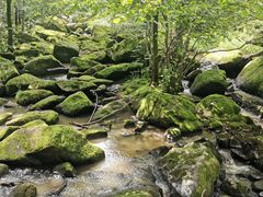 -茅兰沟国家森林公园