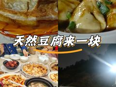 -鲤鱼塘农家山庄