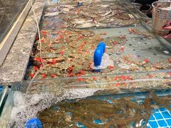 -一方渔歌蒸汽海鲜自助(文化路万达广场店)