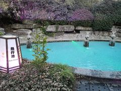 -杭州第一世界大酒店·云曼温泉