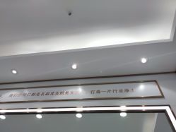 -镁连社·美联社