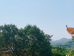 -深圳仙湖植物园