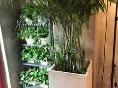 -HIGH FIVE哈福手工汉堡(桂林路店)