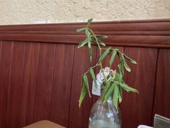 -曼谷食堂·泰国家庭料理(丹桂路店)