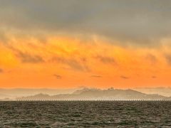 -香港东海海鲜酒家