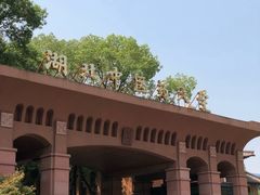 -湖北中医药大学(昙华林校区)