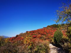 -北京西山国家森林公园