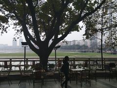 -平安桥张氏肥肠粉