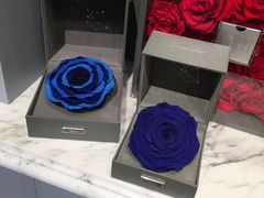 -ROSEONLY诺誓(国际广场购物中心店)