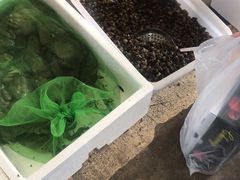 -双福水果批发市场