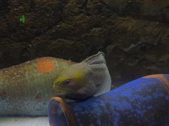 -梦幻海洋王国(吾悦广场张家港店)