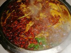 -蜀滋香鲜鱼美蛙火锅(339店)