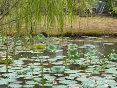 -杭州开元森泊度假乐园