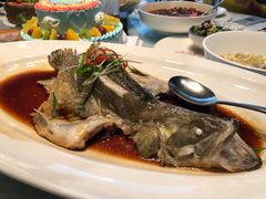 -同庆楼(花园店)