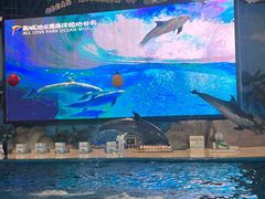 -泉城欧乐堡海洋极地世界