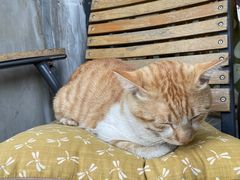 -251#coffee roasters(沿河东路店)