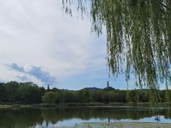 -北坞公园