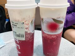 多肉杨梅-喜茶(广州中山六路店)