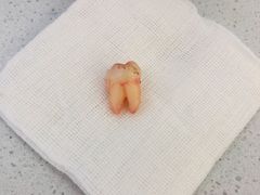 -北京市健宫医院